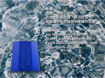 SWS-1009